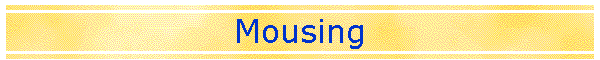 Mousing