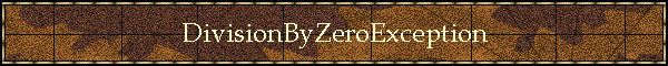 DivisionByZeroException
