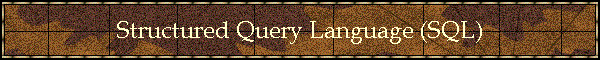 Structured Query Language (SQL)