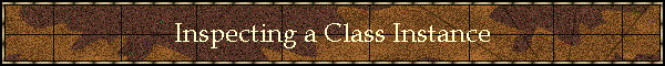 Inspecting a Class Instance