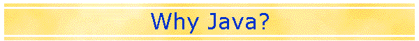 Why Java?
