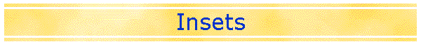 Insets