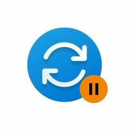 Microsoft Windows Update Options