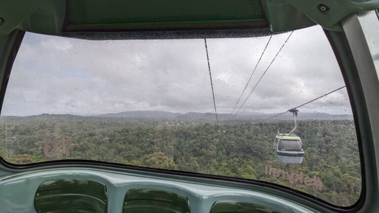 Read more about the article Kuranda