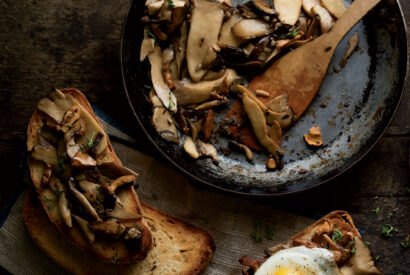 Thumbnail for Sautéed Mushroom Breakfast Toasts