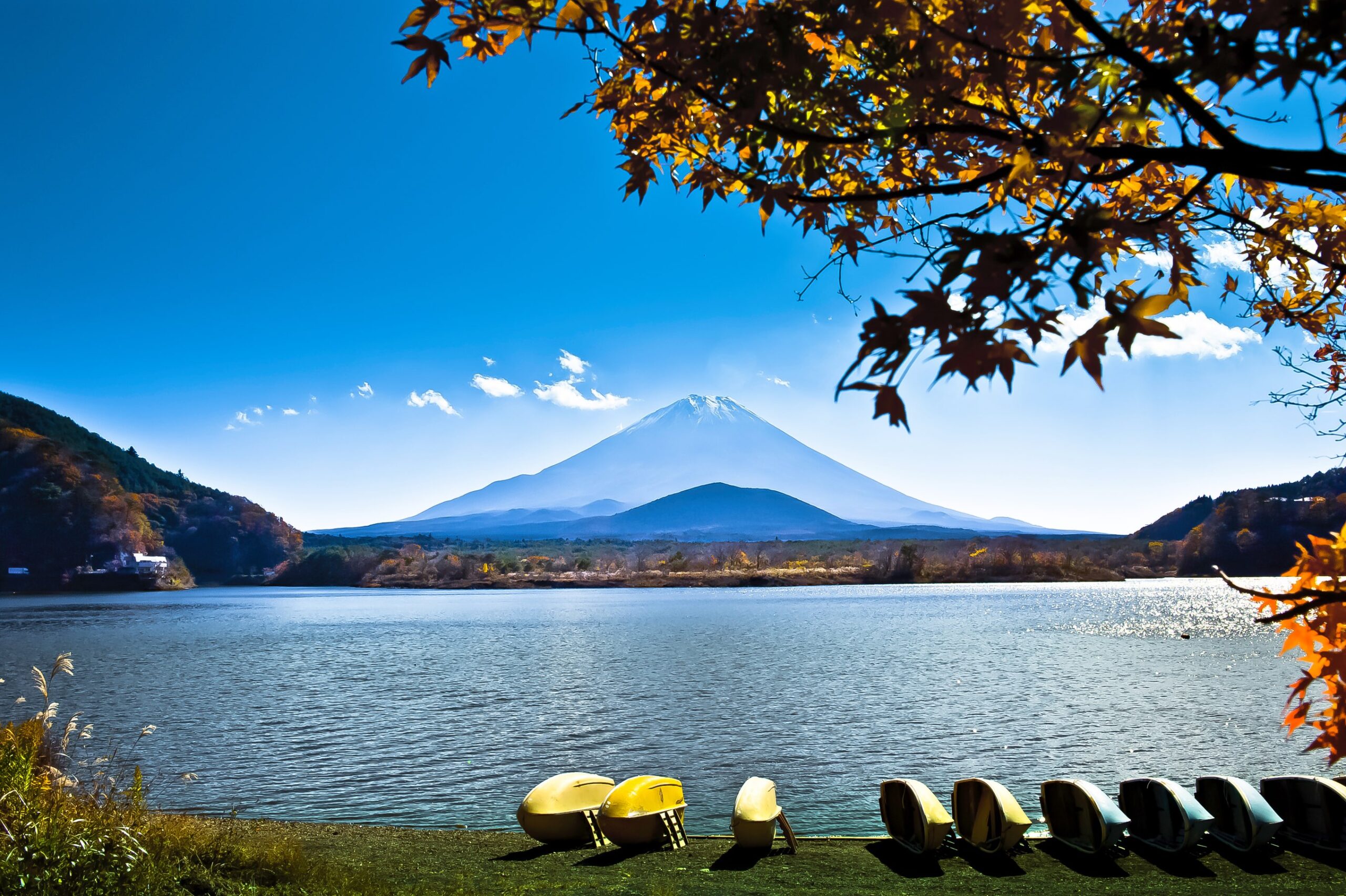 Day 4: Tokyo–Hakone