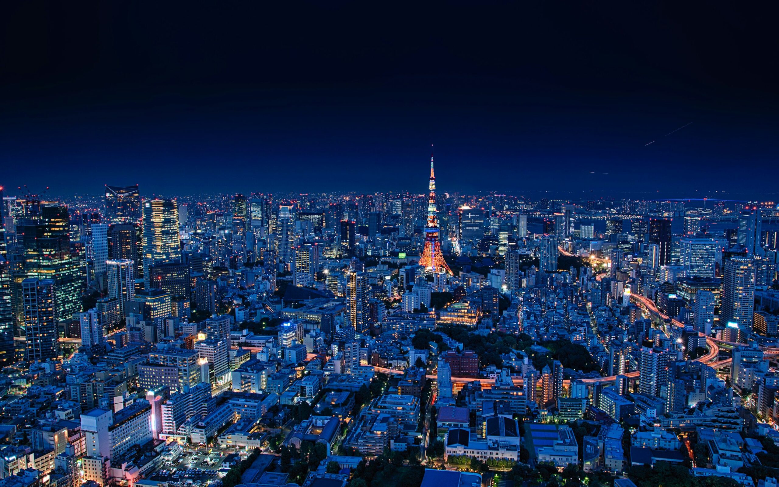 Day 1: Overnight Flight to Tokyo